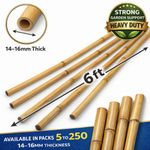 6ft Bamboo Garden Canes Plant Support Stakes Strong Natural Sticks Packs 5-250