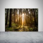 Tulup Kitchen Glass Splashback 100x70 Sunlight