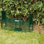 Humane Rat Trap, Live Squirrel Trap with Double Doors