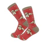 Shih Tzu Socks 