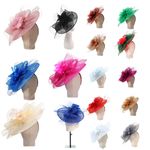 Women Ethereal Aviary Large Stunning Fascinator in 16 Colours L001