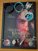 The Vampire Diaries Damon Ian Somerhalder Pre-Signed Photo, Mirror, Watch & more
