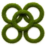 5 x Padded Moss Wreath Rings Natural Green Base for DIY Craft & Christmas Decor