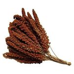 Large Natural Red Millet Sprays