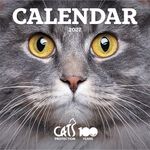 CATS PROTECTION 2027 CATS CALENDAR MONTH-TO-VIEW, LARGE 305 X 610mm OPEN,CHARITY