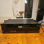 Trilogy Video Distribution Amplifier