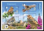 132.GUERNSEY 2017 STAMP M/S ENDANGERED BIRDS, MEADOW PIPIT, W.W.F . MNH
