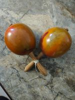 Rumba Balls Authentic Caribbean Maracas - Handmade & Unique