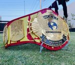Hulk Hogan Hulkamania Signature Series Winged Eagle Title Belt 4MM Zinc Plates