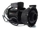 WP250 II LX 2 Speed 2.5 HP 2 Inch 230V 50Hz 9 A 2.5 A Hot Tub Waterway Altern...