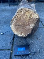Sycamore 18 Months Weathered Log 20 kg x 30 inch length x 9.5 inch Width