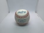 Rawlings Official TVB T-Ball Indoor Outdoor Training Baseball Soft Core 5oz 9in