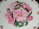 Royal Albert Collectors Plate CAMELLIA - THE QUEEN MOTHERS FAVOURITE FLOWERS