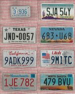 JOB LOT SET OF 8 ROUGH CONDITION AMERICAN LICENSE LICENCE NUMBER PLATES #7+1