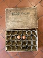 Vintage Cardboard Egg Shipping Box “Valuable Eggs With Care” with Dividers