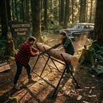 Folding Iron Log Saw Horse - Black