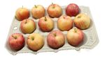 Apple Trays for Storing Apples with 12 Compartments Packs of 10, 20 or 50