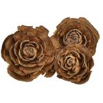 Cones Cedar Rose Shape Natural 50 Pieces Decorative