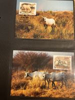 WWF Jordan 2005 Lot White Oryx Maximum Cards