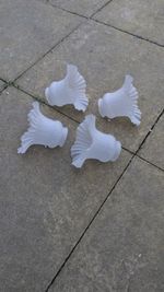 Vintage Set Of 4 Frosted Glass Ruffled Lamp Shades