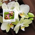 Orchids