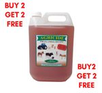 Agricide Professional Disinfectant - Equines, Kennels, Poultry,