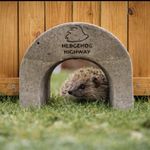 Single wildlife hedgehog garden fence highway passage arch portal concrete 