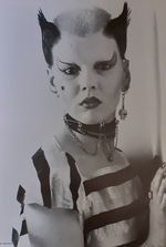 SOO CATWOMAN CLASSIC PUNK POSTER .