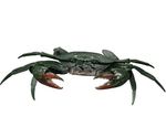 Bandai Gashapon Crab Action Figure ADVANCE Mud Crab Scylla serrata 18 cm Japan