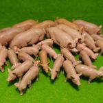 BRITAINS farm - Large white pigs - pig boar sow piglet - vintage plastic animals