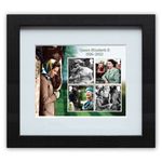 Queen Elizabeth II 100 Years Framed Minihseet Stamps from Royal Mail