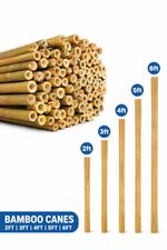 Strong Heavy Duty Professional Bamboo Plant Support Garden Canes | 2ft - 6ft