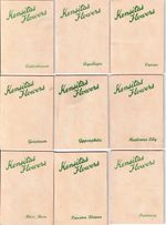 Kensita Wix Silk Cigarette Cards, Series 1, Medium, Printing 'C'