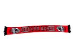 Redcar Bears Speedway Scarf