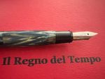 RADIUS Fountain Pen Marbled Celluloid Rare Vintage 1940