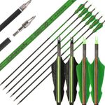 30" Pure Carbon Arrow SP300-800 Natural Feather 100gr Tip Archery Hunting Target