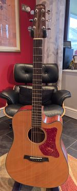 Walden Concorda CD550CE Acoustic/Electric Guitar
