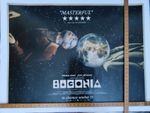 Bugonia - Quad Movie Poster Original UK
