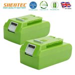 2X 5Ah 24V Li-ion Battery For Greenworks 29852 29842 29807 29837 2000107