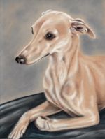 Whippet Dog Art Print Gift Idea Fawn Blonde Small A5(5.8"x8.3") Unframed