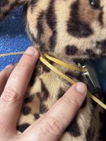 3mm Grosgrain Ribbon in gold like Jellycat luxe 2 metres double sided Ribbed UK