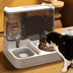 2 in 1 Automatic Cat Feeder Water Dispenser Dry Wet Pet Dog Puppy Food Dispenser