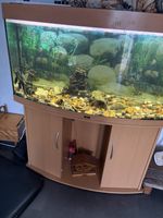 Juwel 125 Rio Aquarium and Cabinet Set Fish Tank