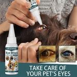 2026 Conjunctivitis Treatment Pets Eye Drops Dog Cat Horse Rabbit Eyes Care Drop