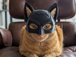 Black Batman-Style Superhero Cat Mask with Ears Costume Accessory