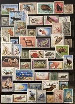 100 Different Animals Stamps Worldwide – Rare Vintage & Collectible Stamp Lot