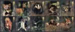 GB 2004 Woodland Animals block of 10 set SG 2479-2488 used E242 *combined post*