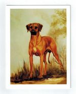 Rhodesian Ridgeback Standing Notecard Set - 6 Blank Note Cards By Ruth Maystead