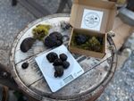 King Alfred’s Cakes Daldinia Concentrica Black Mature Fungi 30g UK Origin