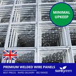 Premium Galvanised Welded Wire Panel | 2.4m x 1.22m | 50mm Hole | 12G | 8 Pack